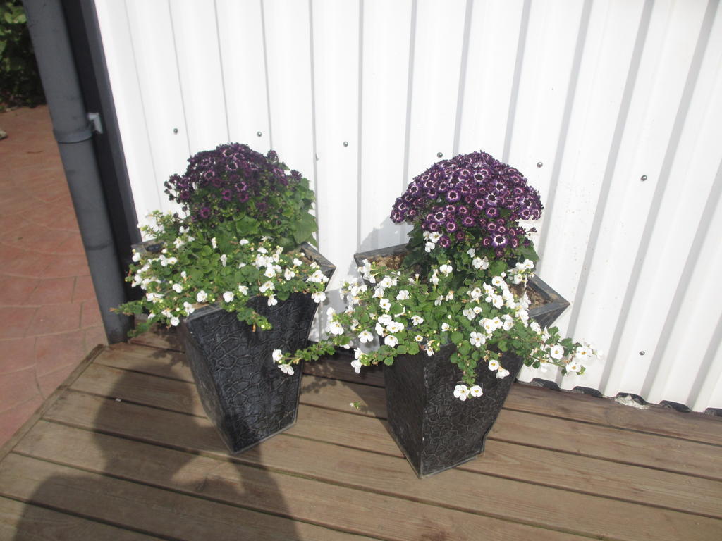 Artun Apartment Höfn Rom bilde